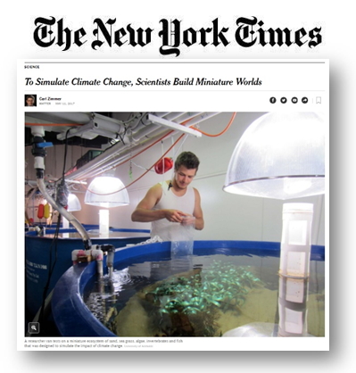 NYT fish tank in Oz